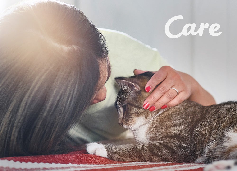 Care Care