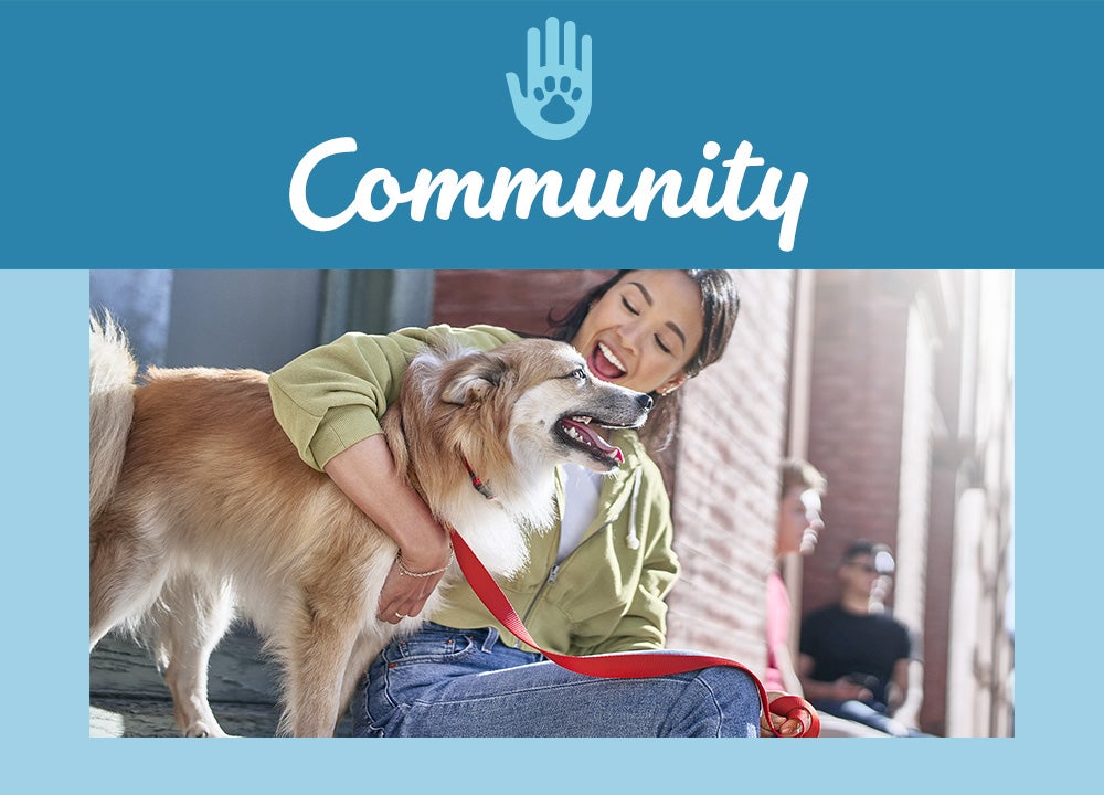 Community Community