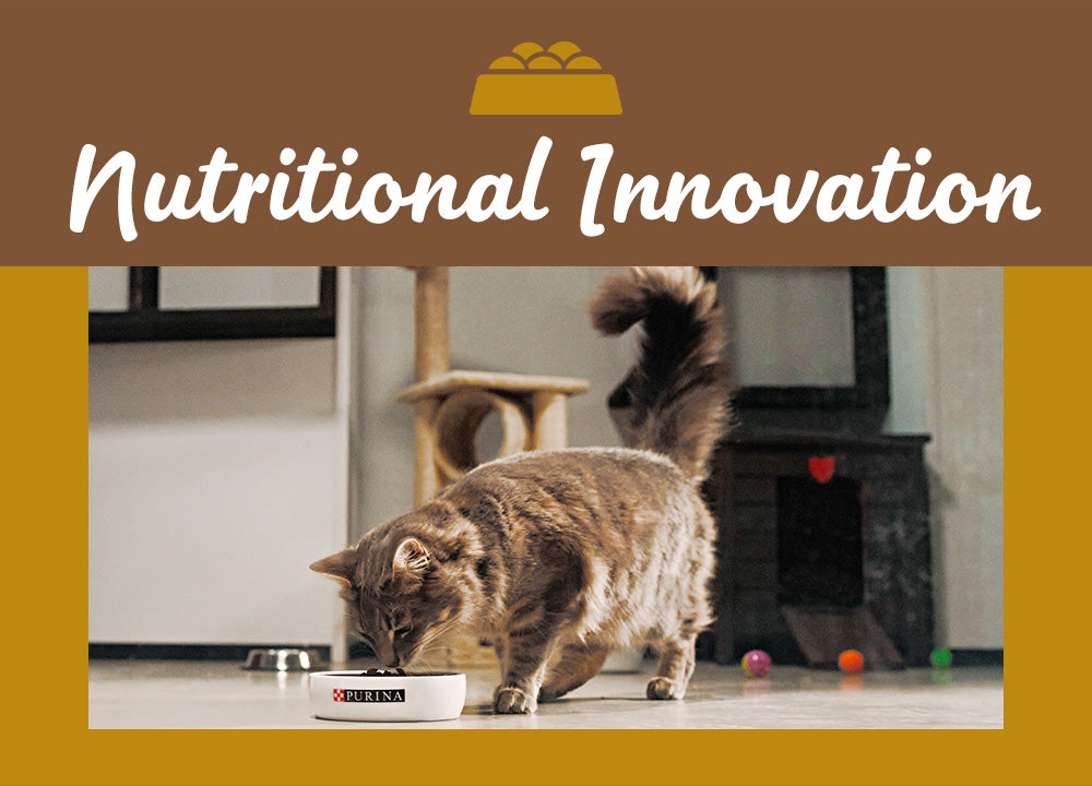 Nutrtional Innovation Nutrtional Innovation